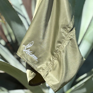 2025 Board shorts